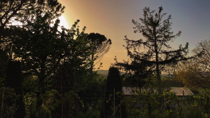 Sunset spring