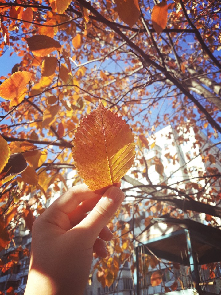 autumn