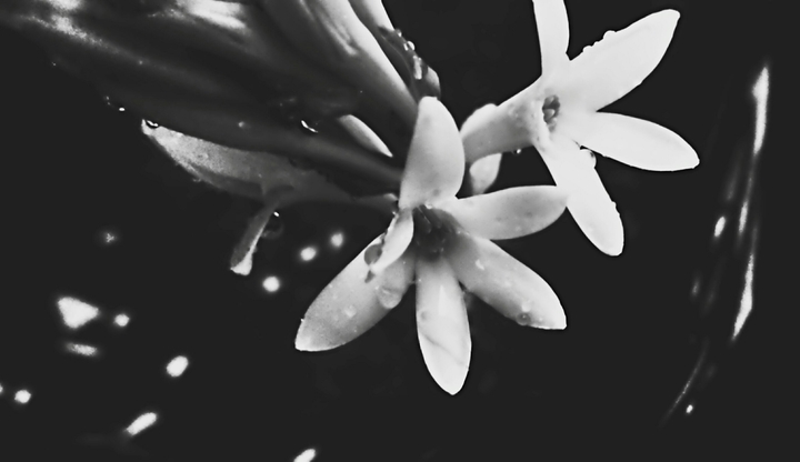 black and white