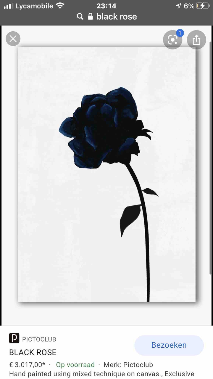 blue rose