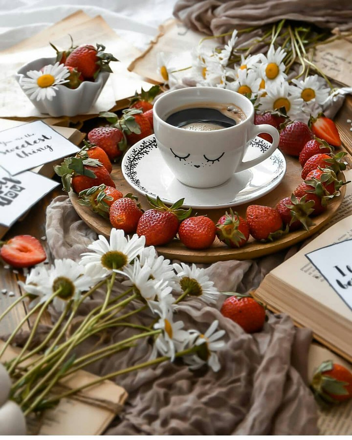 Good Morning Beautiful Friends ❤️