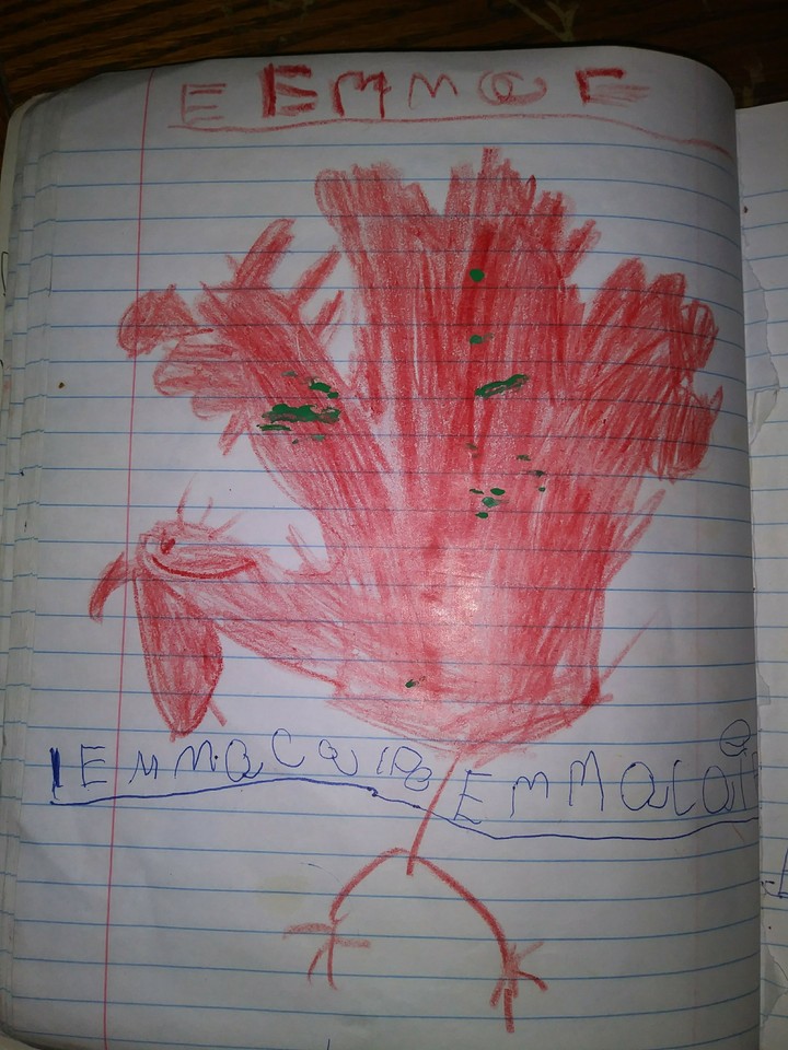 upside down Turkey