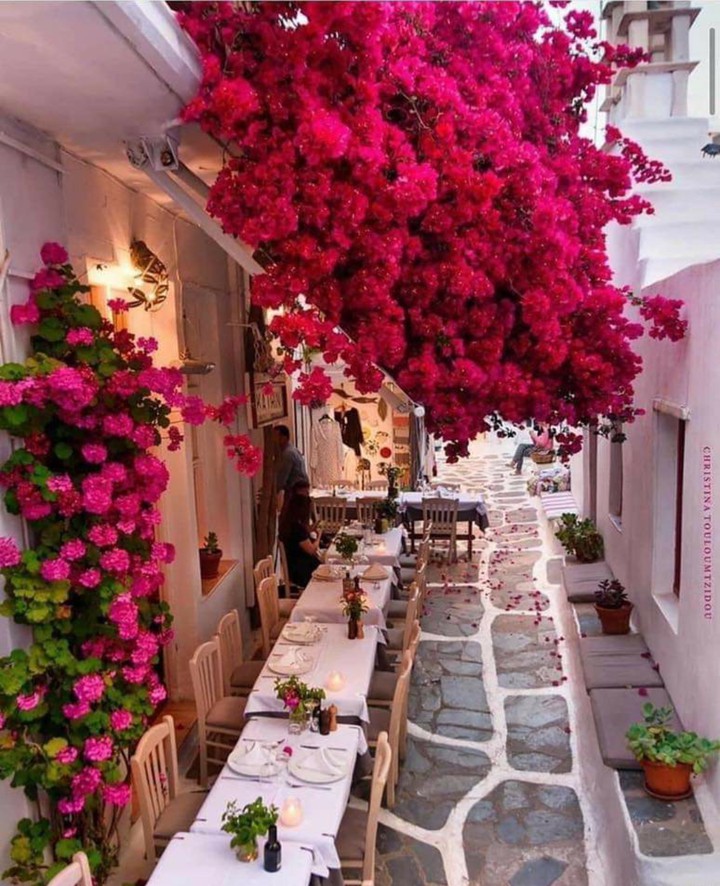 mykonos