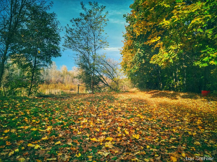 осенний день