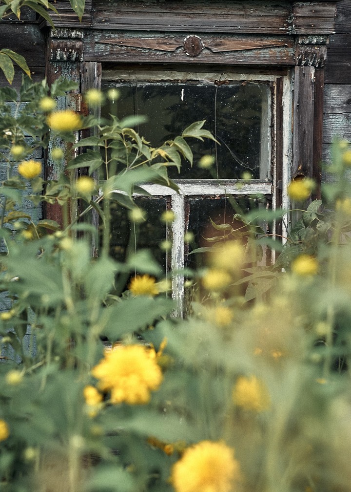 flowers