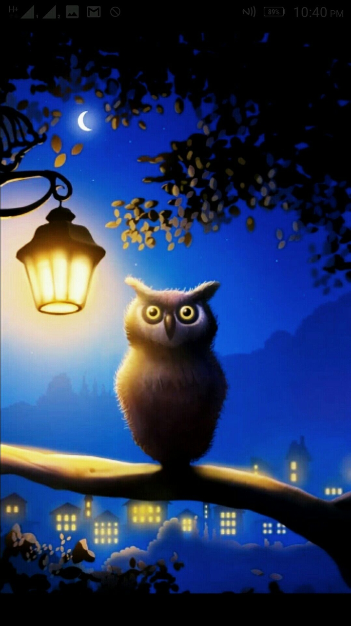 good night everyone