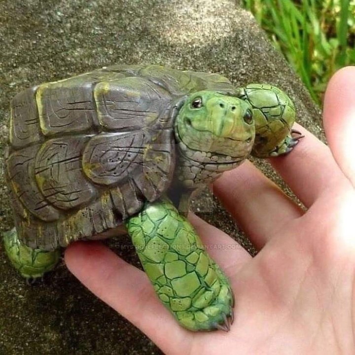 .