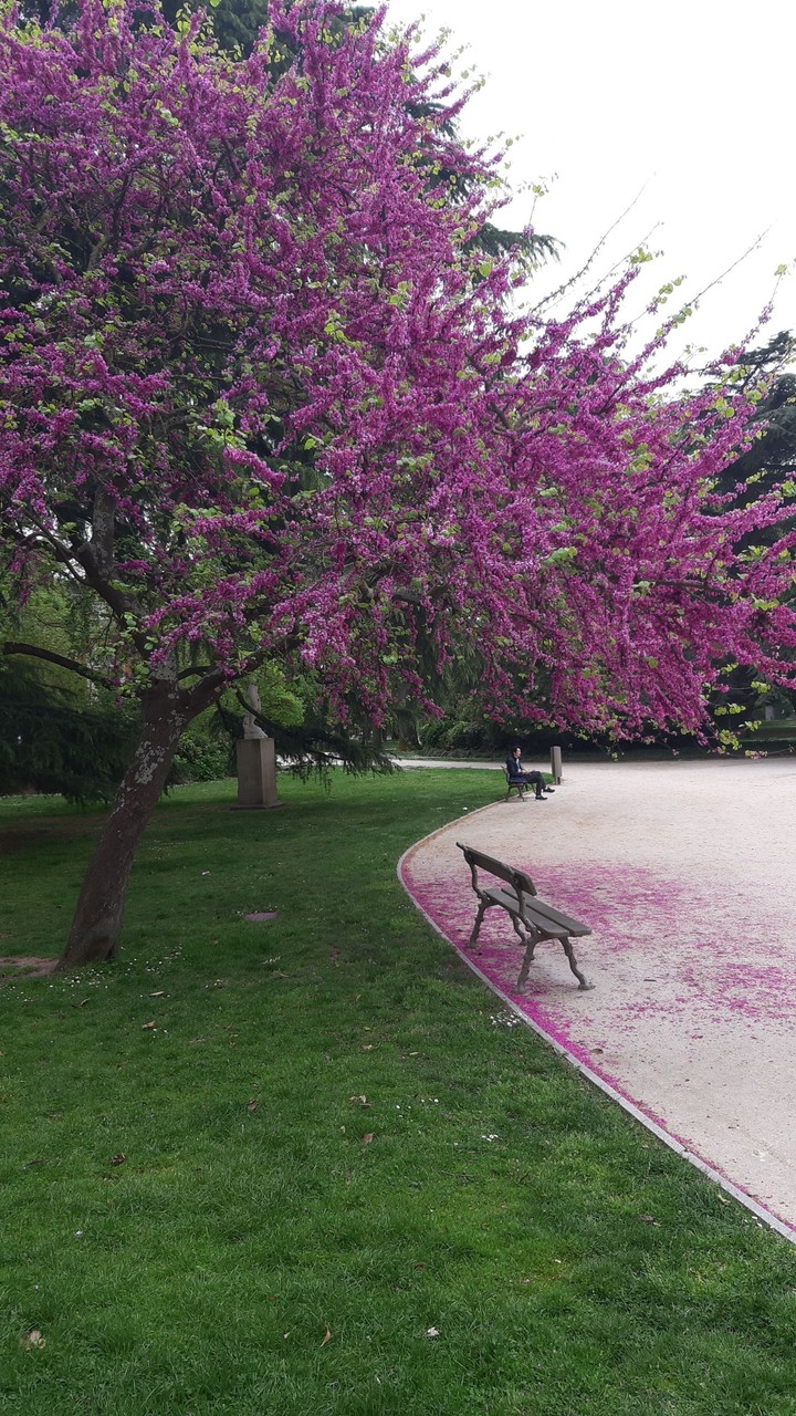parc