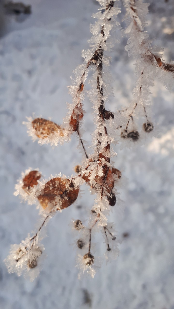 winter