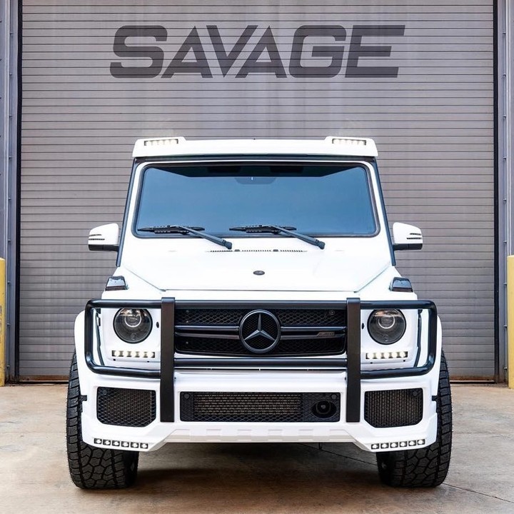 Merit savage