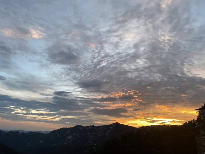 Shimla Dairy
