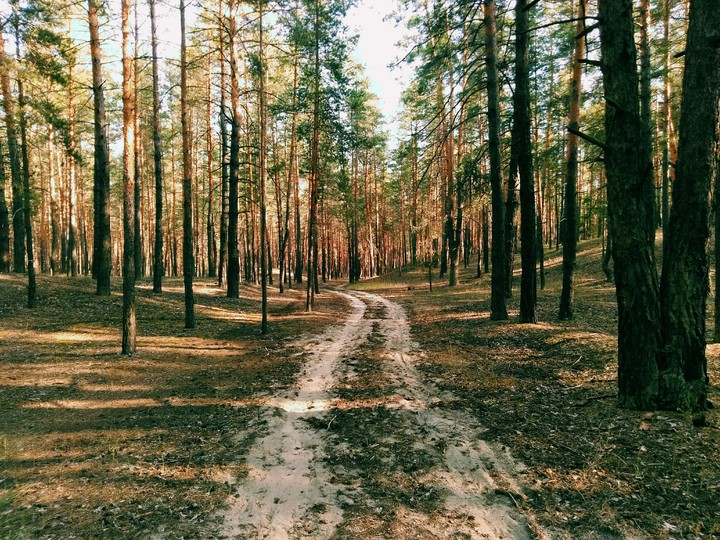 Sandy road