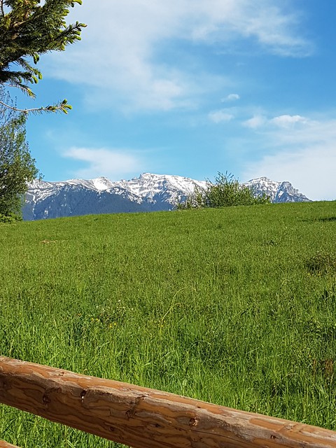 Bella vista !