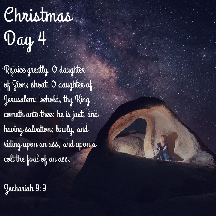 Christmas day 4