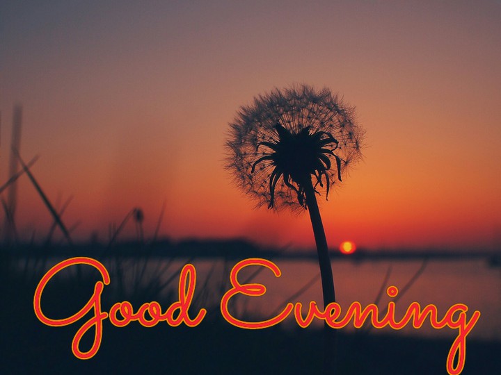 Good Evening