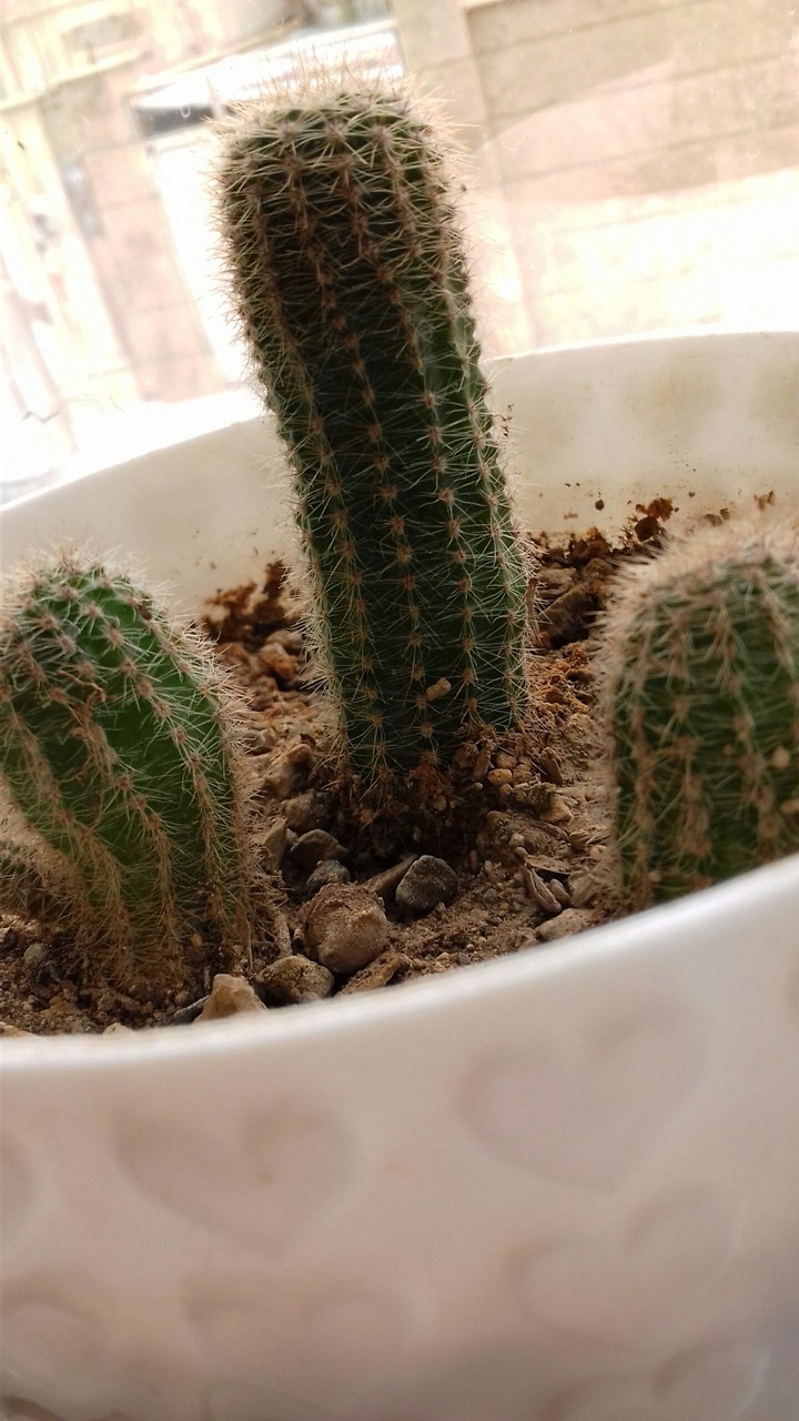 ?