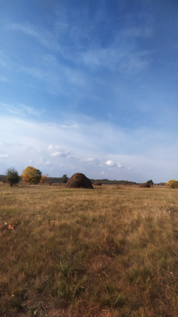стог сена в поле