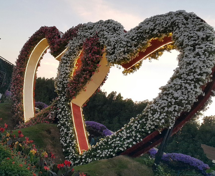 Miracle Garden