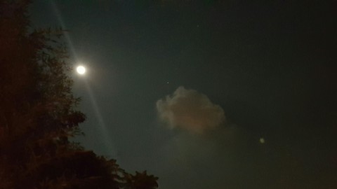 夜間美