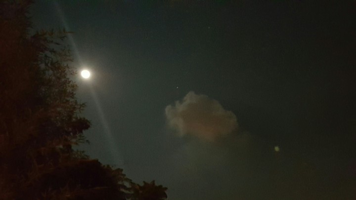 夜間美
