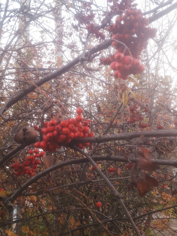 october