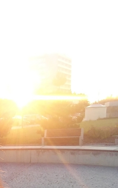 sun