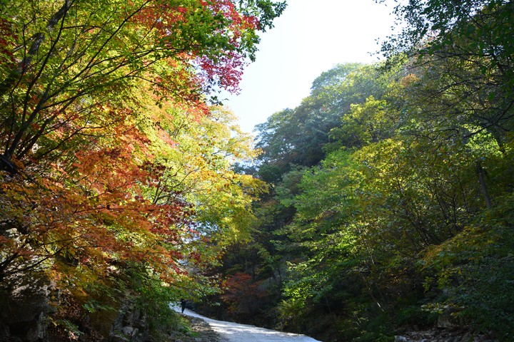 치악산이미지