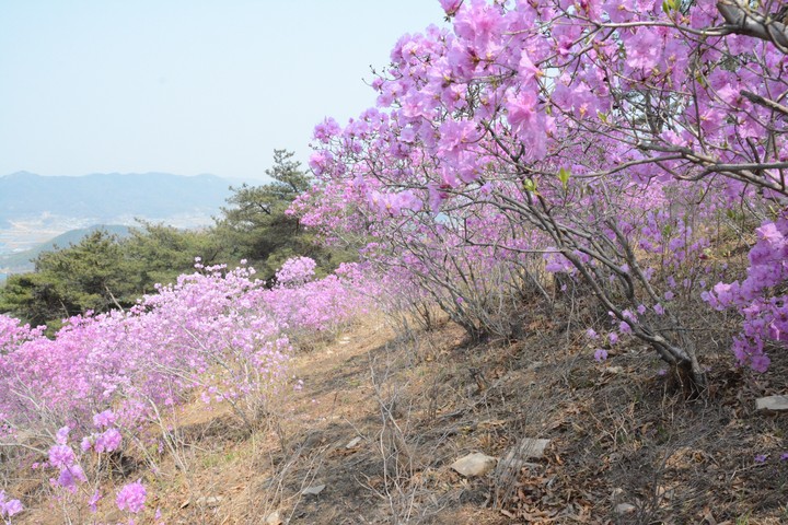 풍경이미지