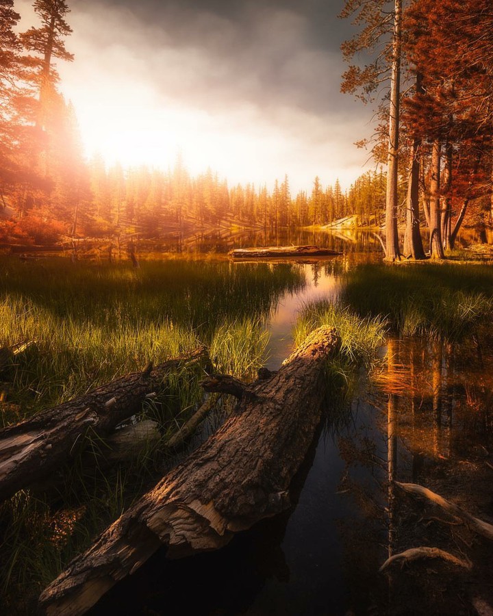 Nature