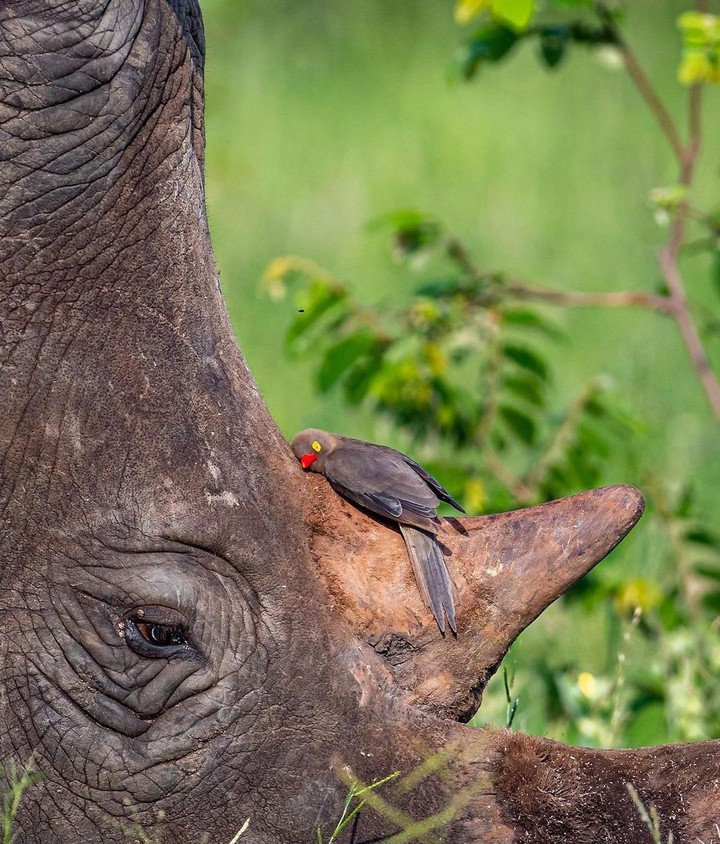 Sometimes, all you need is a hug !