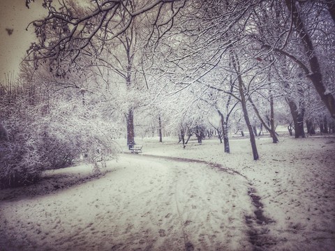 Zimowy park