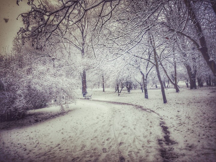 Zimowy park