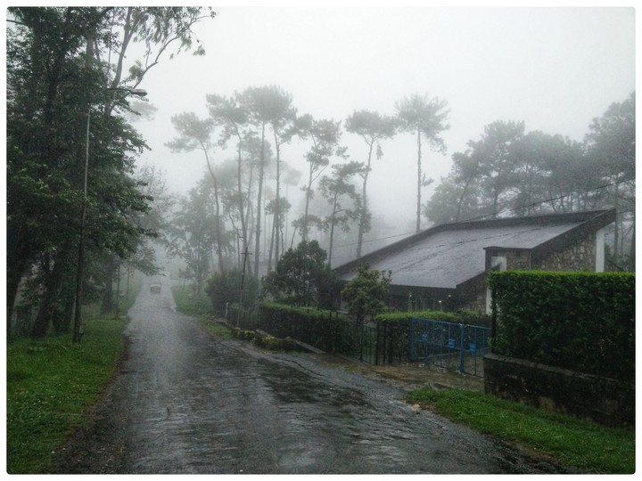 Rain and Fog