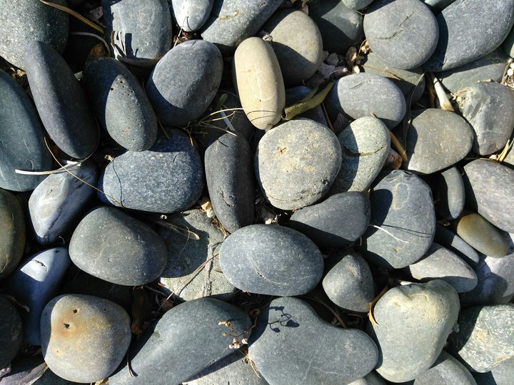 rocks