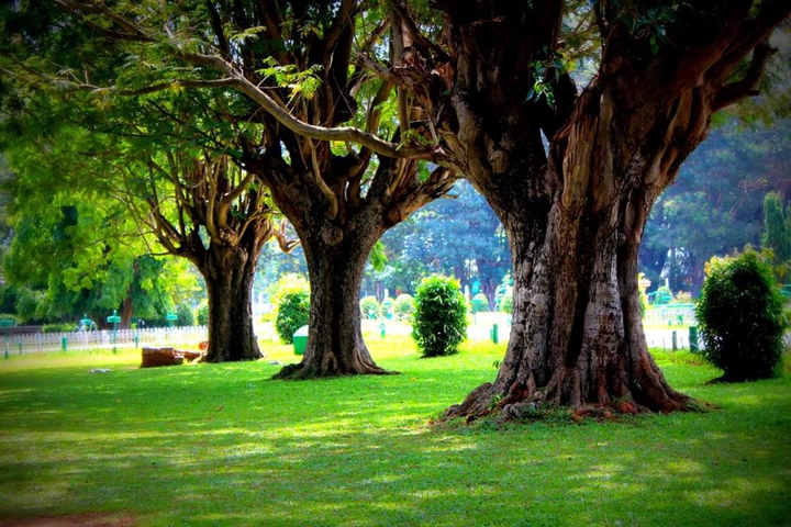 Brindavan Garden, Mysore
