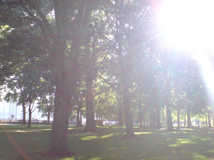 Park view from London