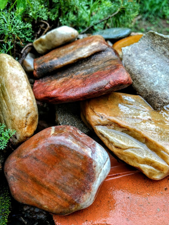 rocks in the rain ☔☔