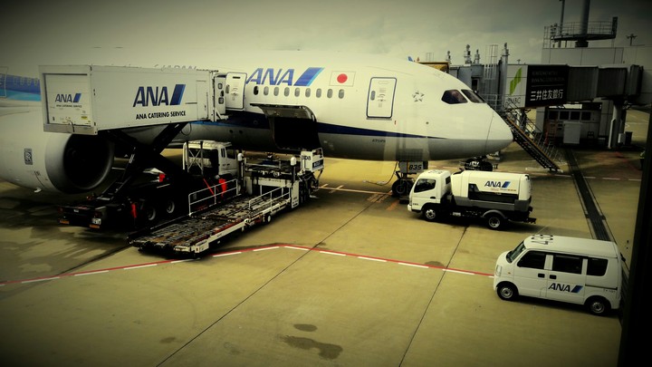 aeroplane#ana#Japan#India#flight#airport