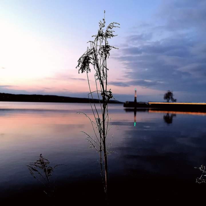 lake view
