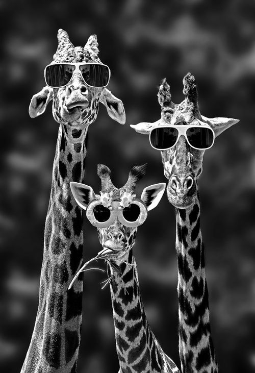 Yo wassup