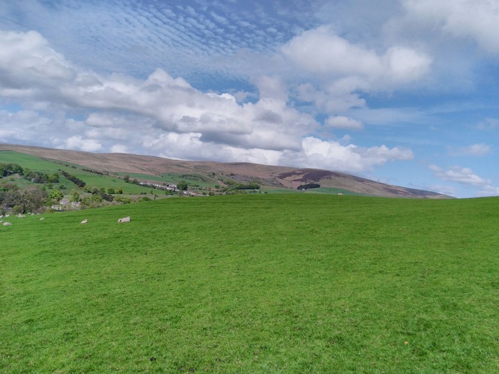 Blissful Countryside