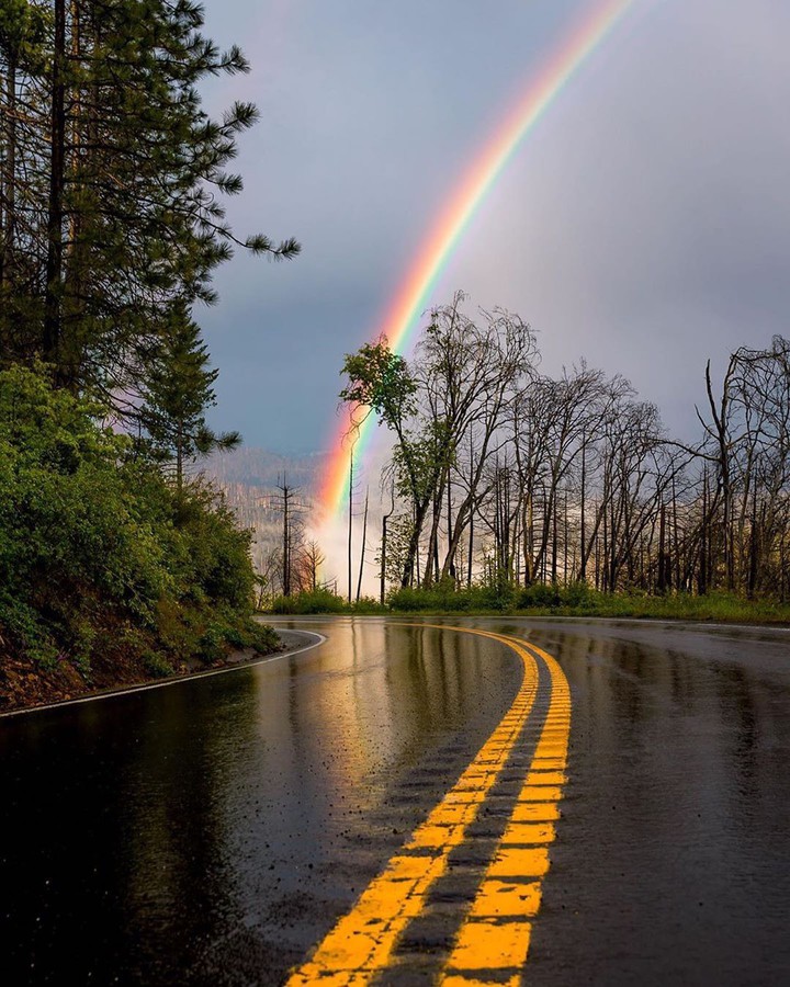 rainbow