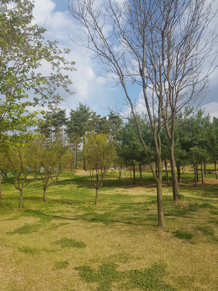 공원