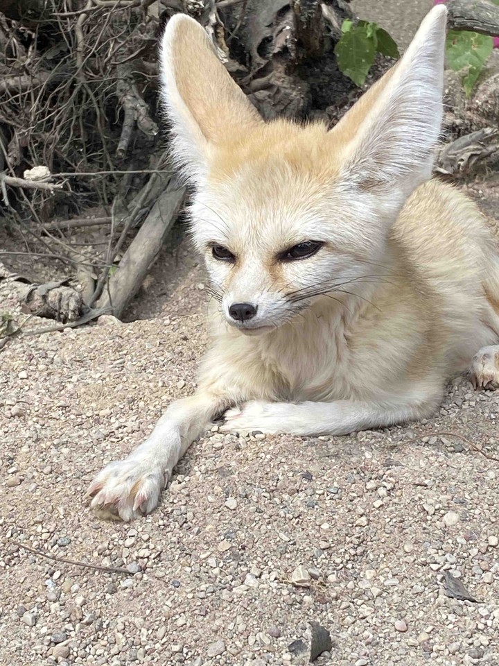 ?
