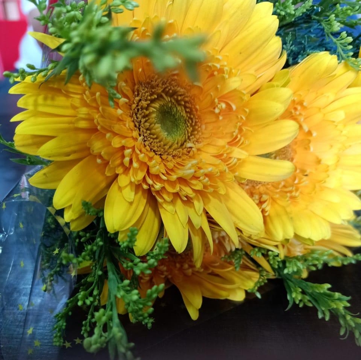 Sun bright flowrs