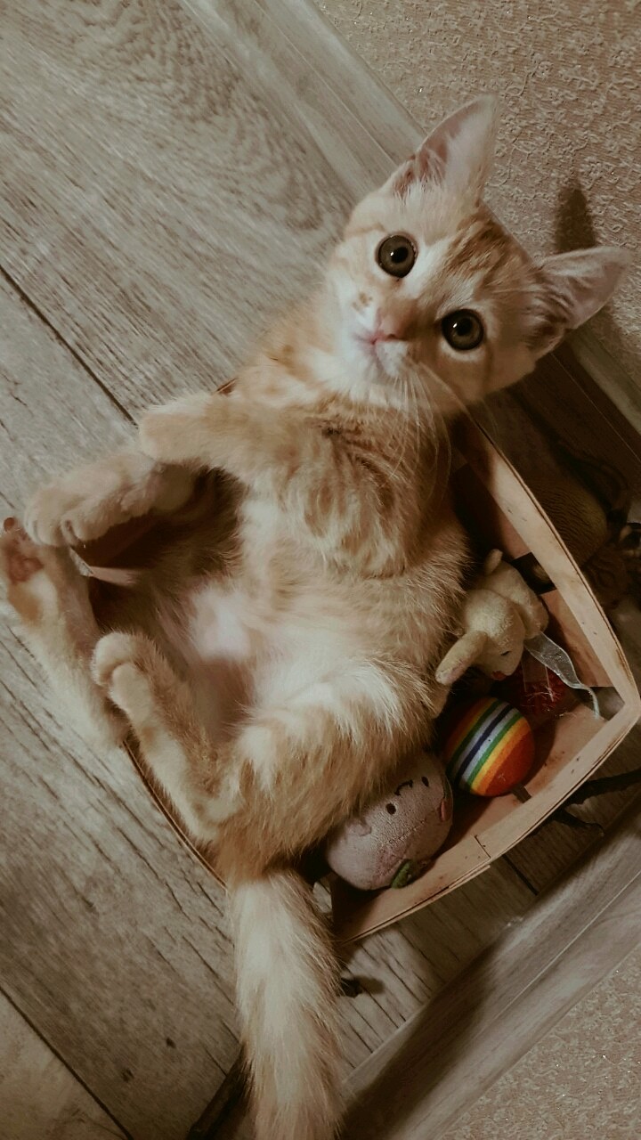 ?