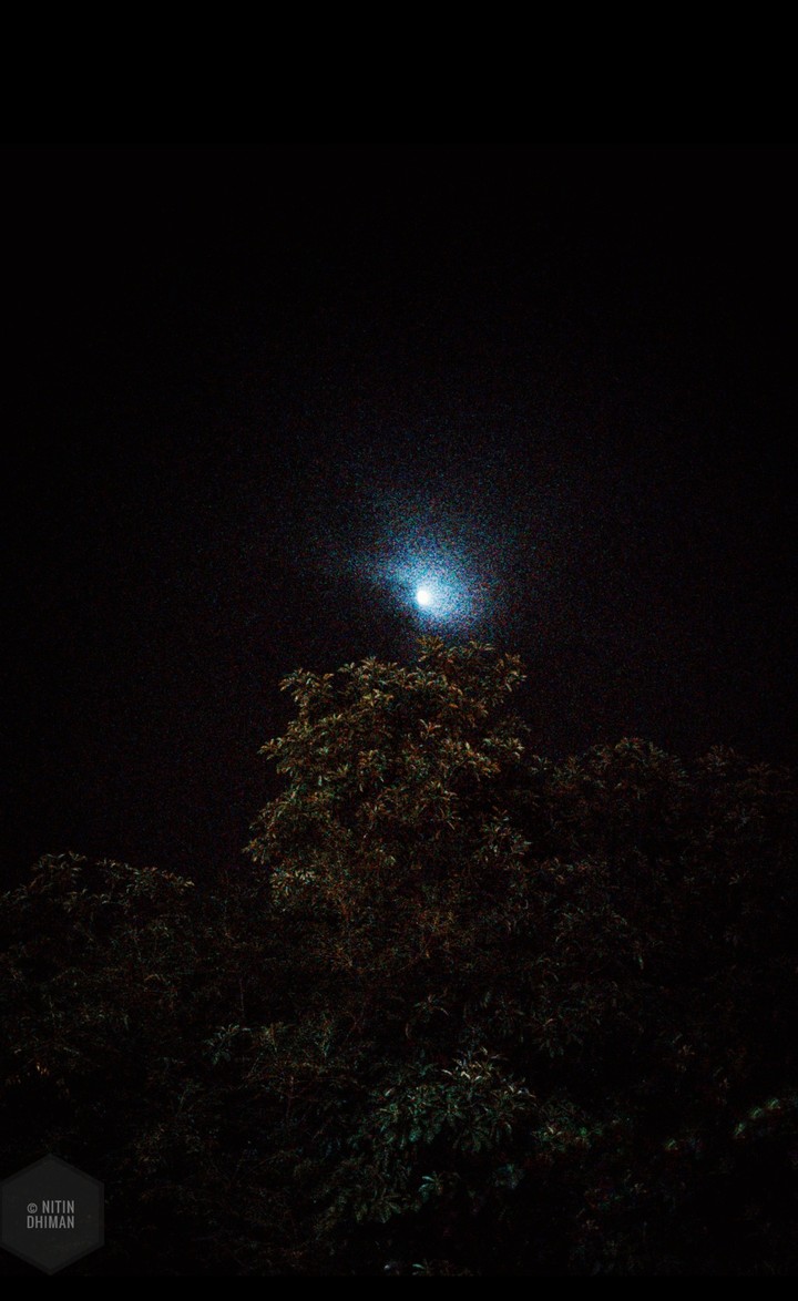 Lonely Star