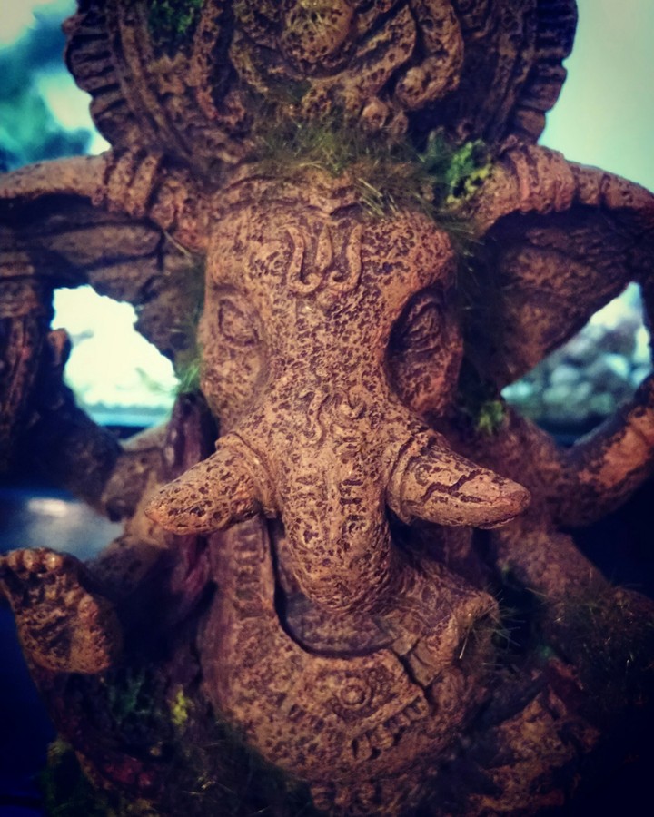 Statue