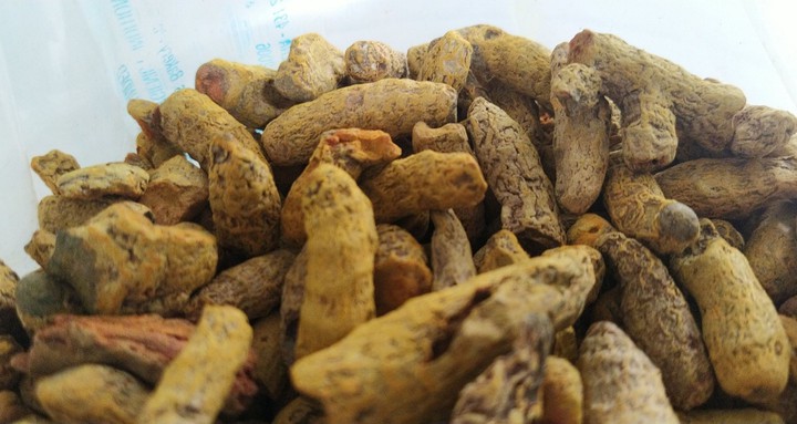 turmeric