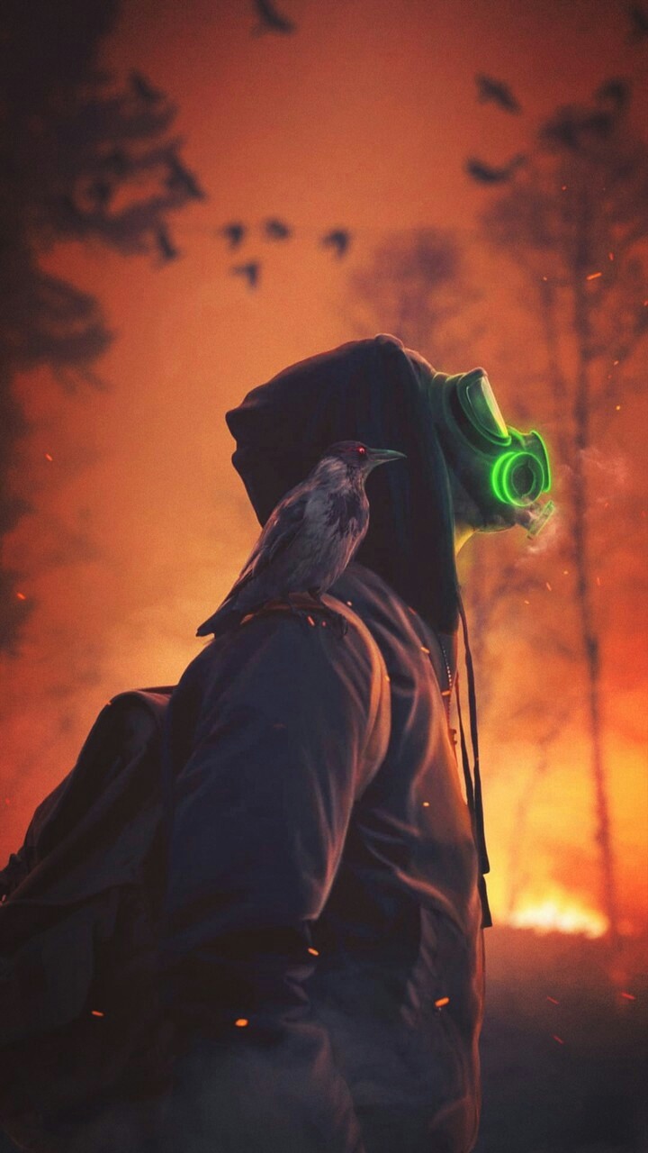boy